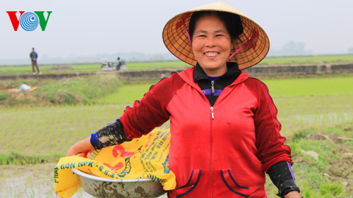 การทำงานในช่วงต้นปีตามจันทรคติ